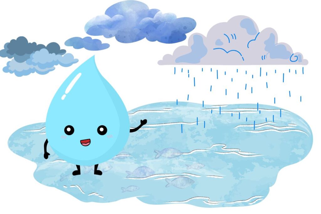 water body restoration - WEEE FOUNDATION