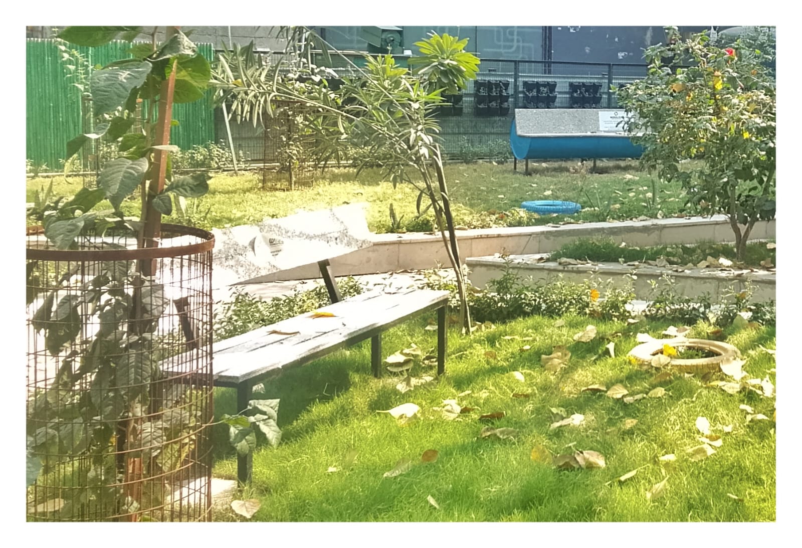 weee foundation - Community redevelopment